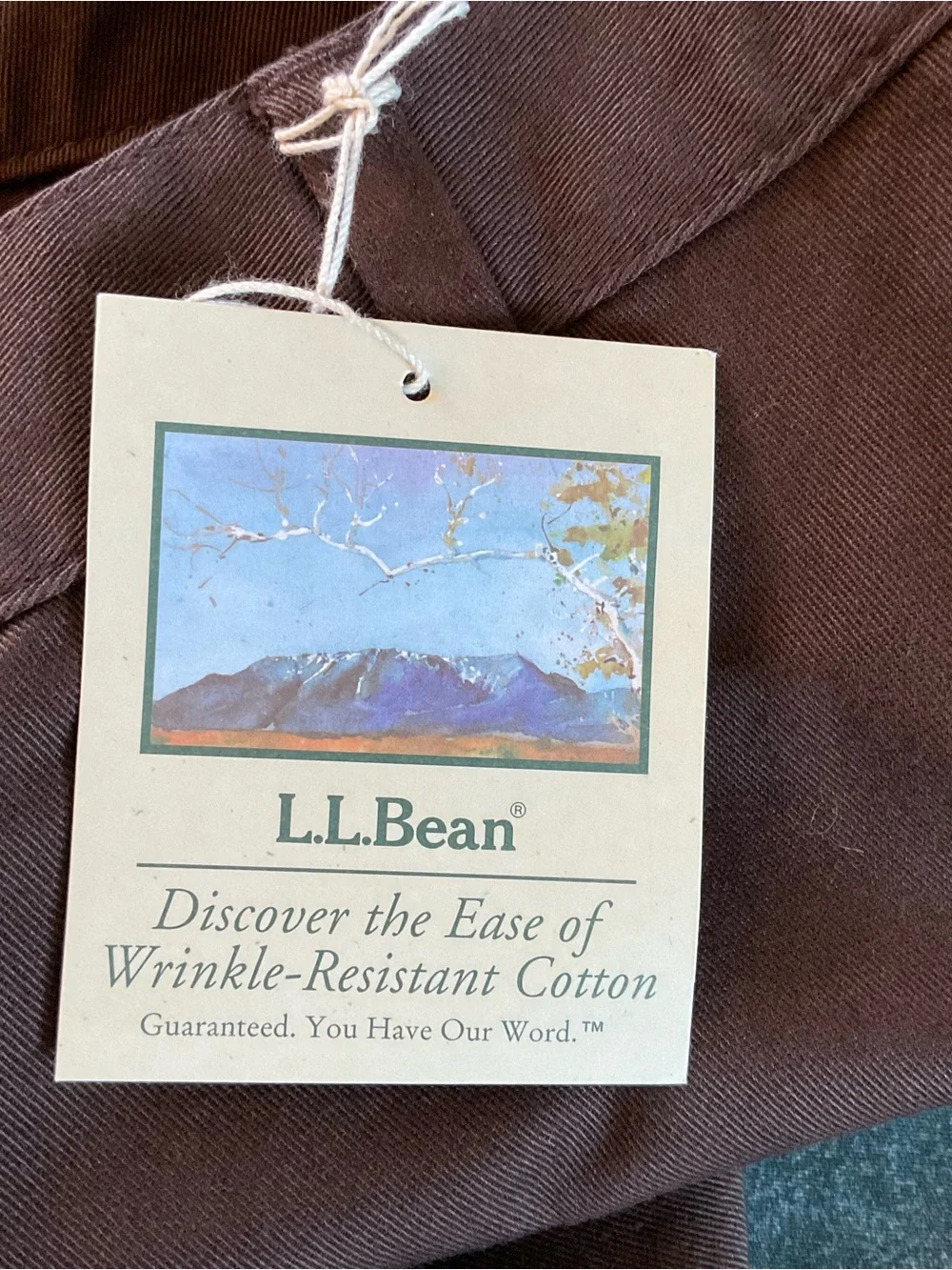 L.L. Bean Wrinkle Resistant Curvy Fit Cotton Pants Brown Size 10P Petite NWT